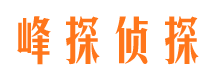 册亨婚外情调查取证